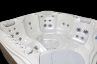 Спа-бассейн AquaSpas My_Dream